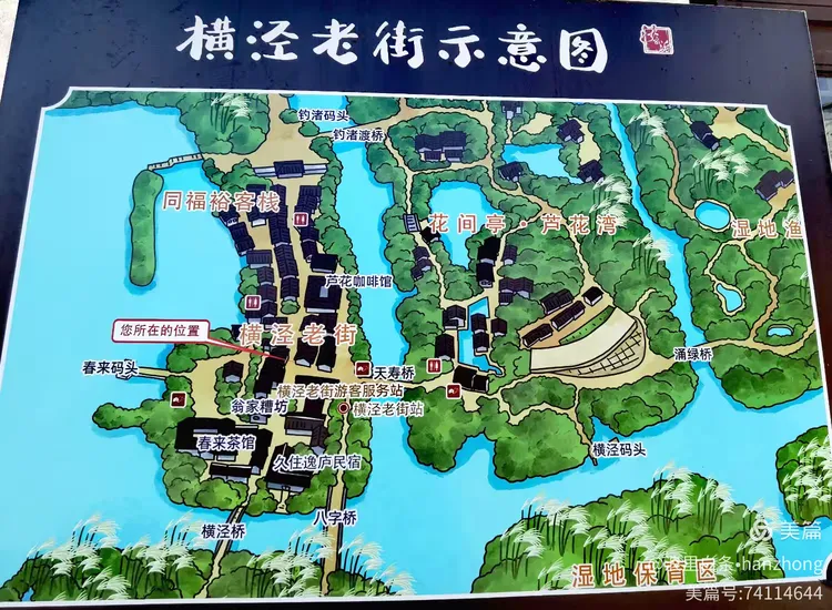风起芦苇荡 心动沙家浜